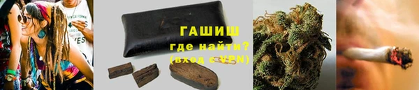 прущие грибы Алзамай