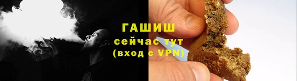 прущие грибы Алзамай