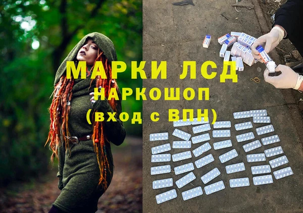 прущие грибы Алзамай