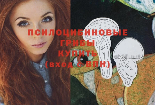 прущие грибы Алзамай