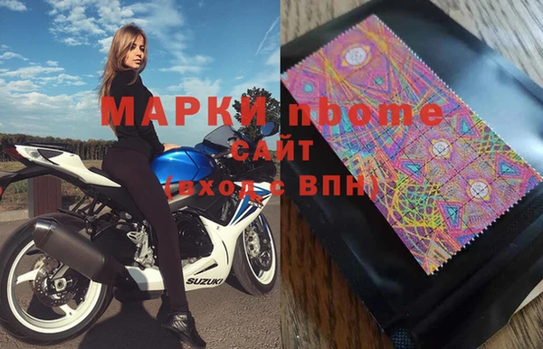 прущие грибы Алзамай