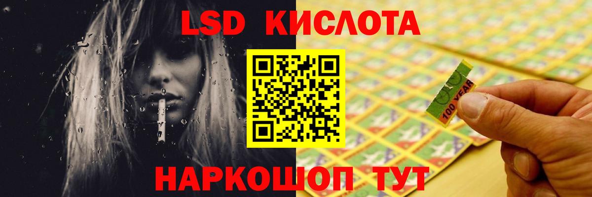 Псилоцибиновые грибы Кропоткин