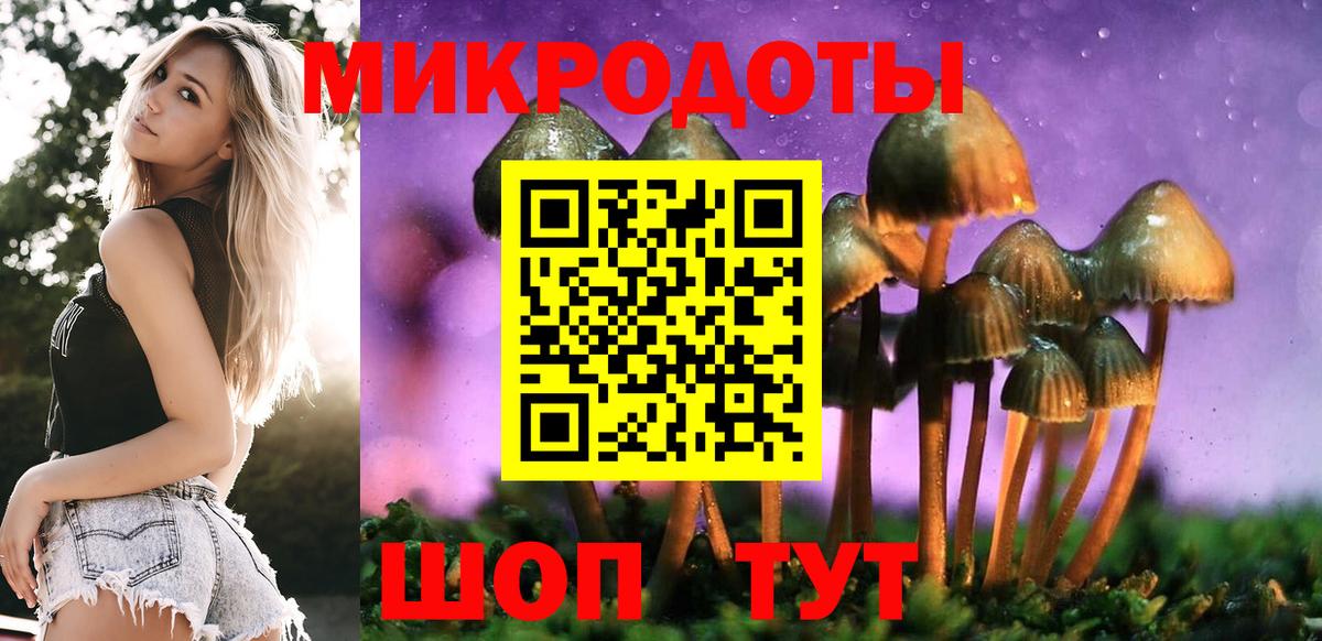 Псилоцибиновые грибы мухоморы Кропоткин